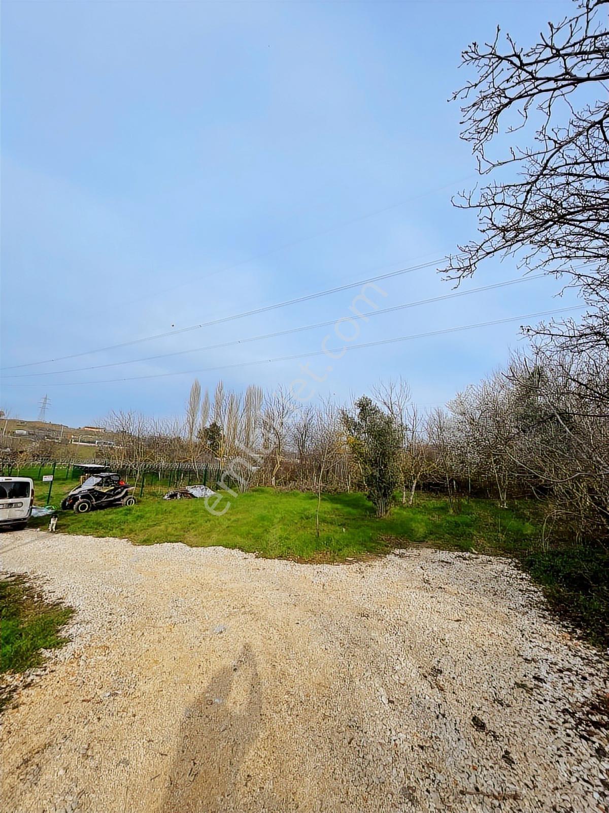 Dağyenice Yatırımlık Veya Hobi Bahçesine Uygun Satılık Tarla - Görsel 7