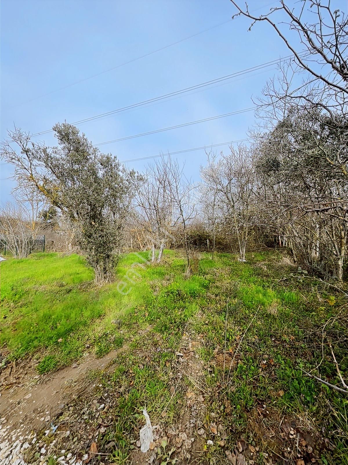 Dağyenice Yatırımlık Veya Hobi Bahçesine Uygun Satılık Tarla