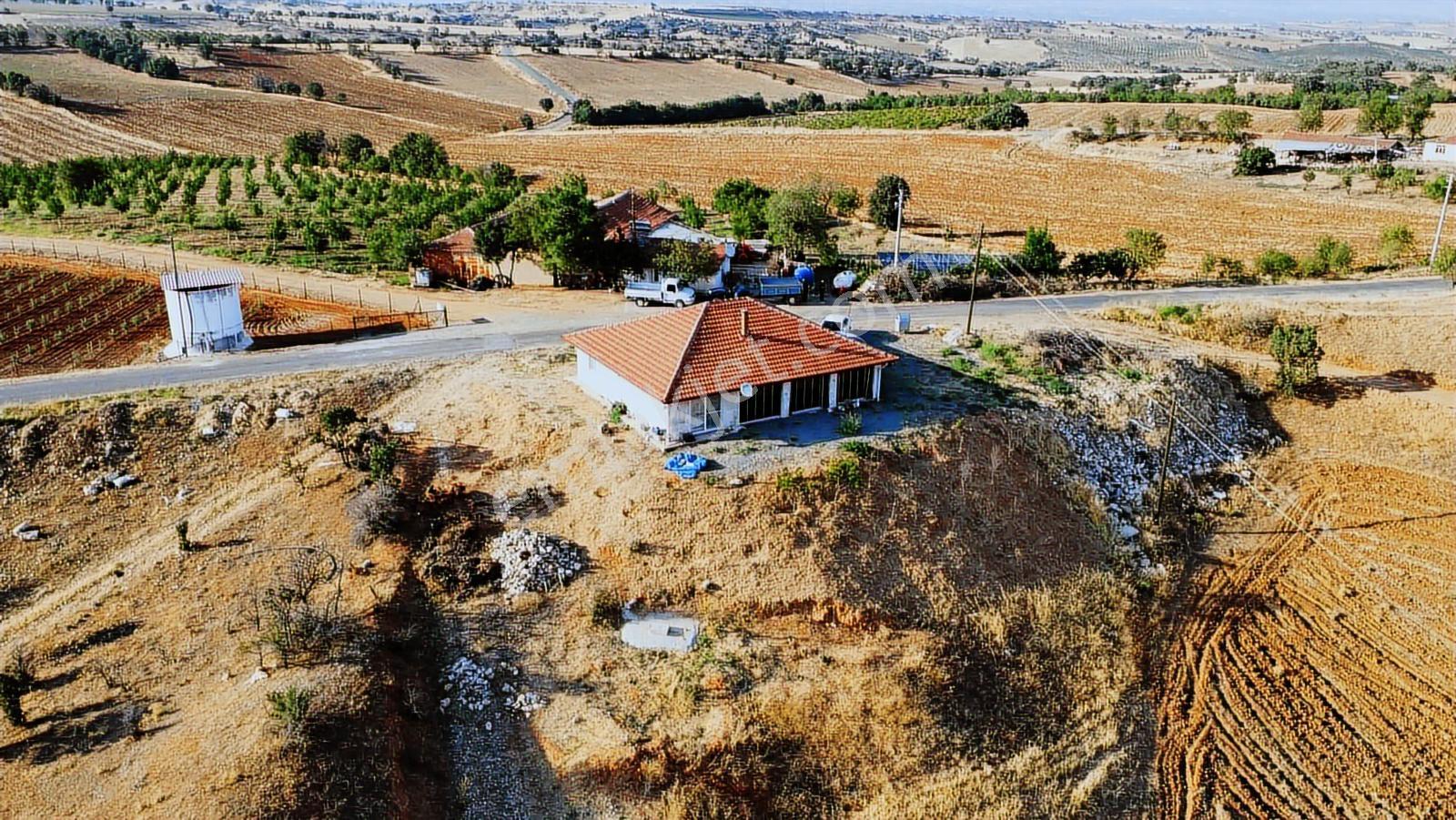 Ege'nin Kalbinde Panoramik Manzaralı3+1 Köy Evi(arsası 2.898 M²) - Görsel 14