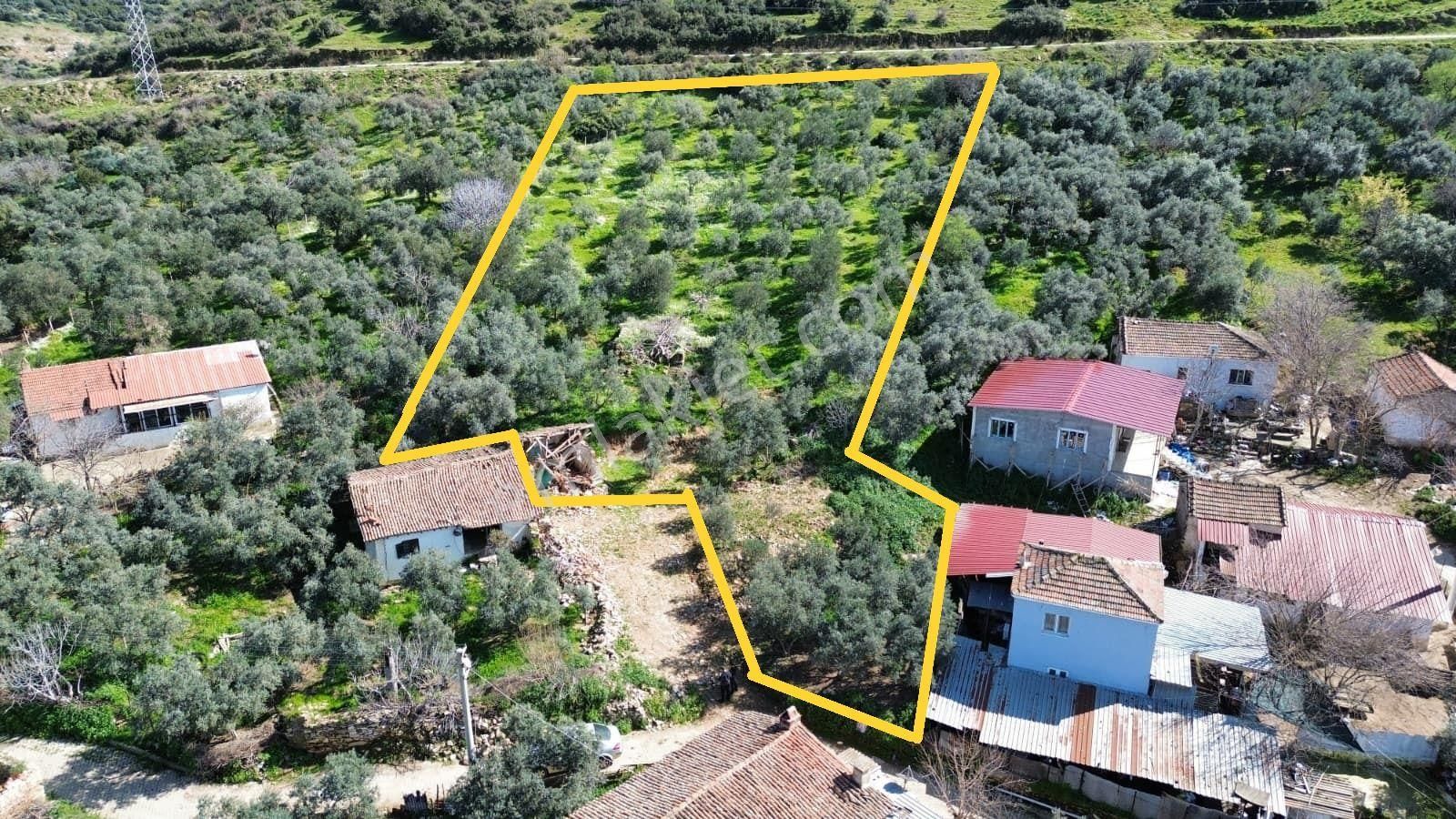 İzmir Tire Sb Emlak'tan Eskioba Mah. Yatırımlık Konut İmarlı Arsa