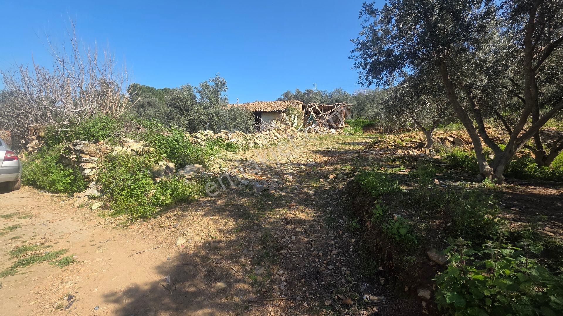 İzmir Tire Sb Emlak'tan Eskioba Mah. Yatırımlık Konut İmarlı Arsa - Görsel 3