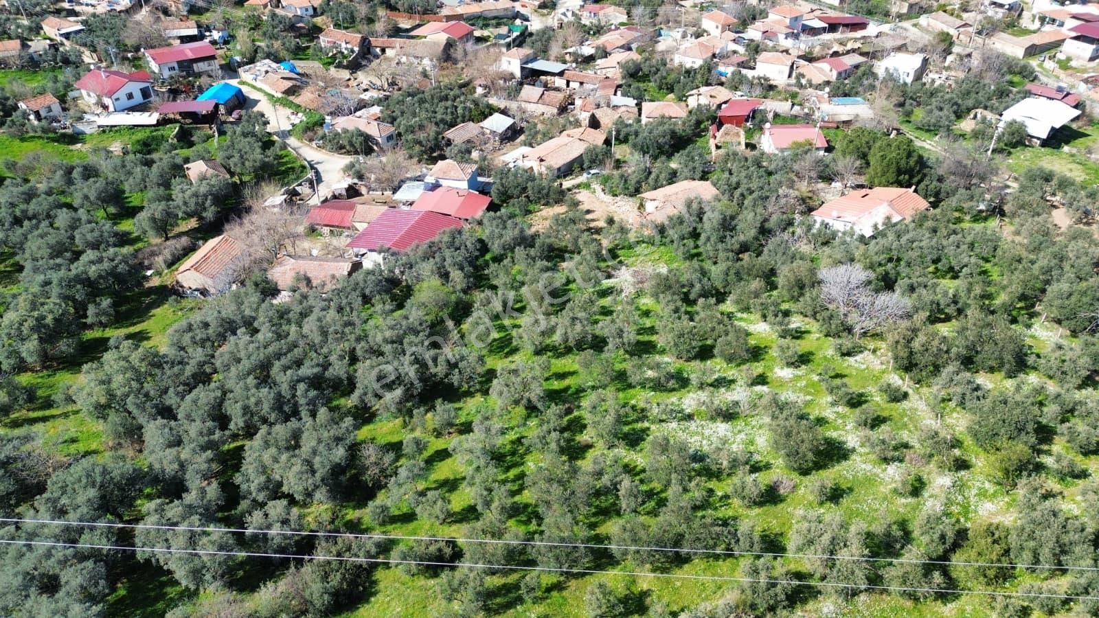 İzmir Tire Sb Emlak'tan Eskioba Mah. Yatırımlık Konut İmarlı Arsa - Görsel 9