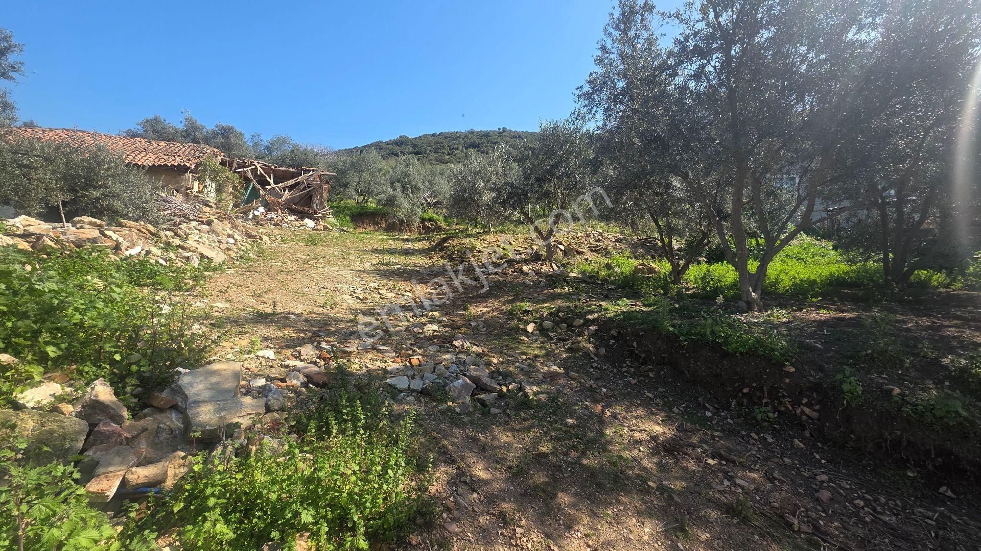 İzmir Tire Sb Emlak'tan Eskioba Mah. Yatırımlık Konut İmarlı Arsa - Görsel 2