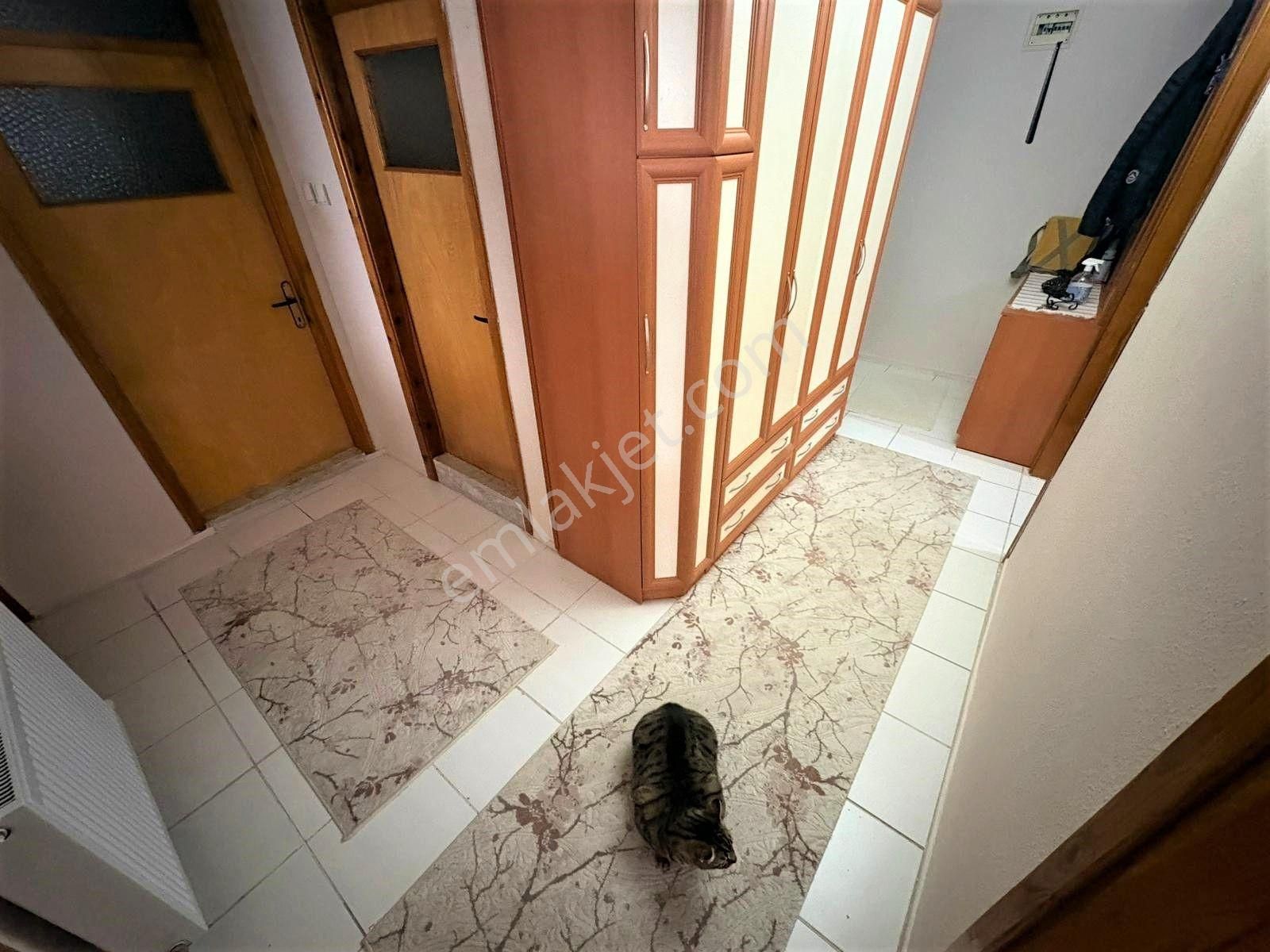 🟠🟠tek Yetkili Alfa'dan Akçay'da Ön Cephe Doğalgazlı Satılık Ayrı Mutfak Çift Balkonlu 2+1 Daire - Görsel 13