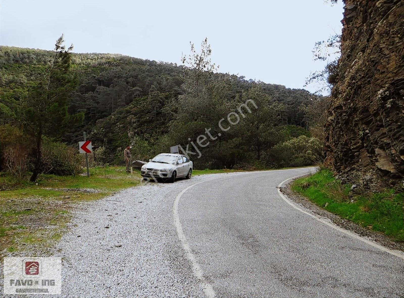 Bayındır Balcılar | 2005 M2 Yatırıma Uygun Satılık Zeytinlik - Görsel 4