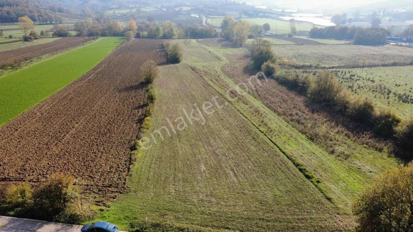 Yoldaş Emlaktan İzmit Şahinlerde 8.700 M2 Satılık Tarla - Görsel 5