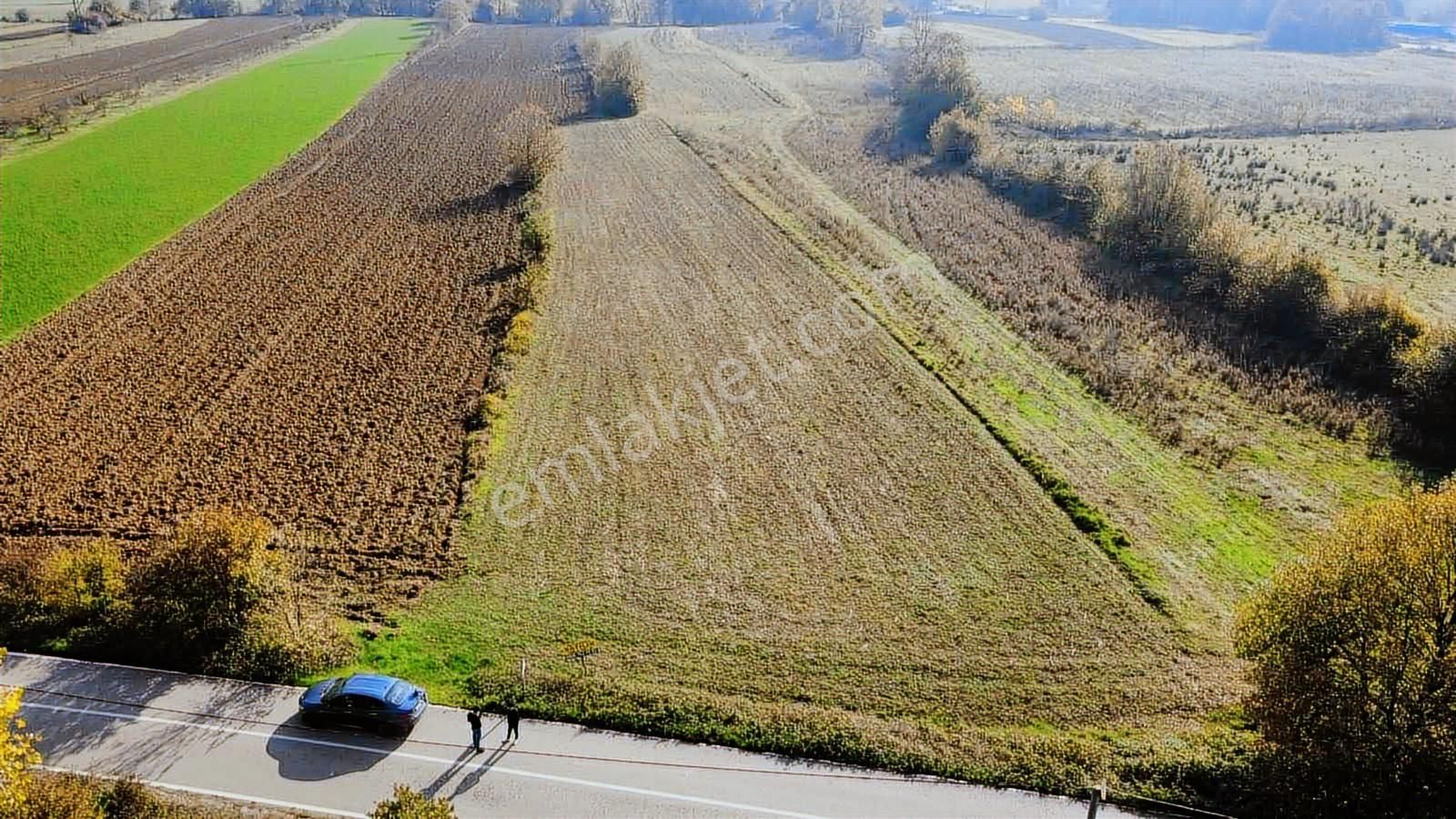 Yoldaş Emlaktan İzmit Şahinlerde 8.700 M2 Satılık Tarla - Görsel 4