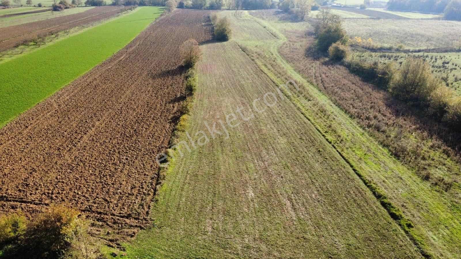 Yoldaş Emlaktan İzmit Şahinlerde 8.700 M2 Satılık Tarla - Görsel 2