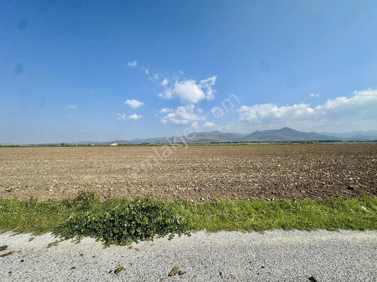 Salihleraltı Sahil Asfalt Yolu Üzeri Yatırımlık Fırsat Tarla - Görsel 3