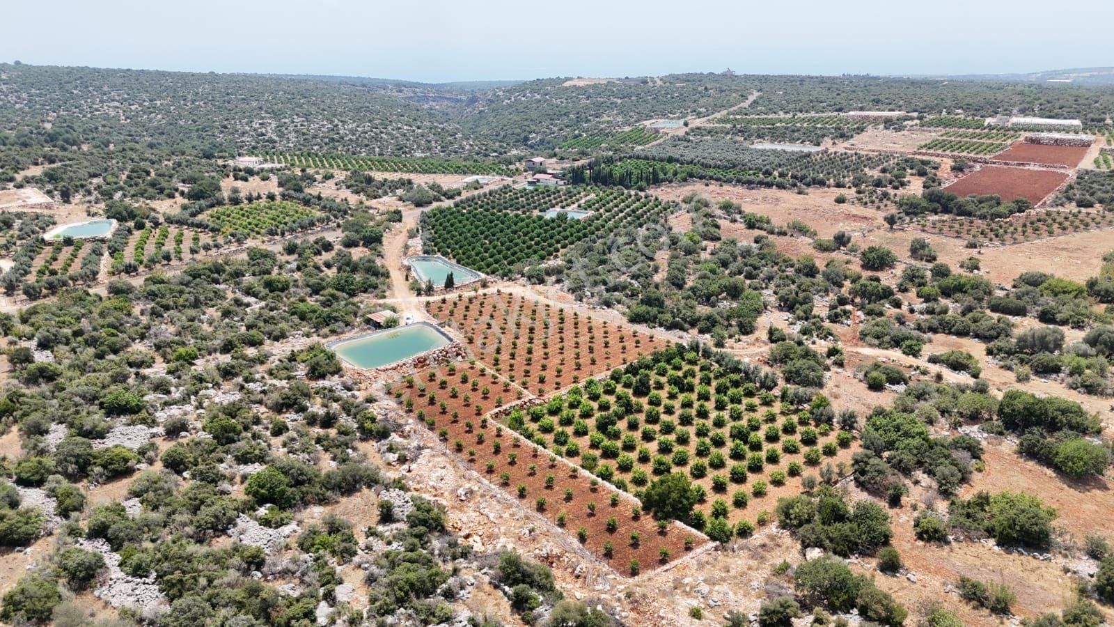 Erdemli Ayaş 3.126 M2 Satılık Arsa - Görsel 8