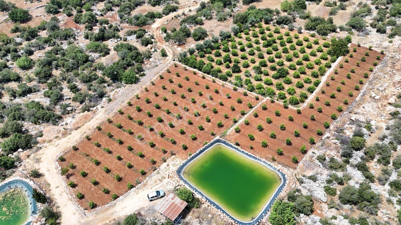 Erdemli Ayaş 3.126 M2 Satılık Arsa - Görsel 2