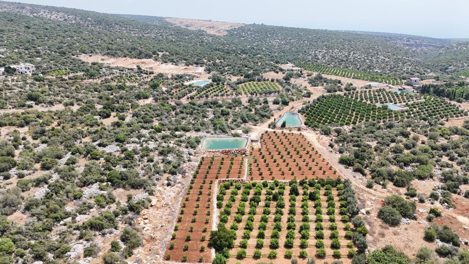 Erdemli Ayaş 3.126 M2 Satılık Arsa - Görsel 12