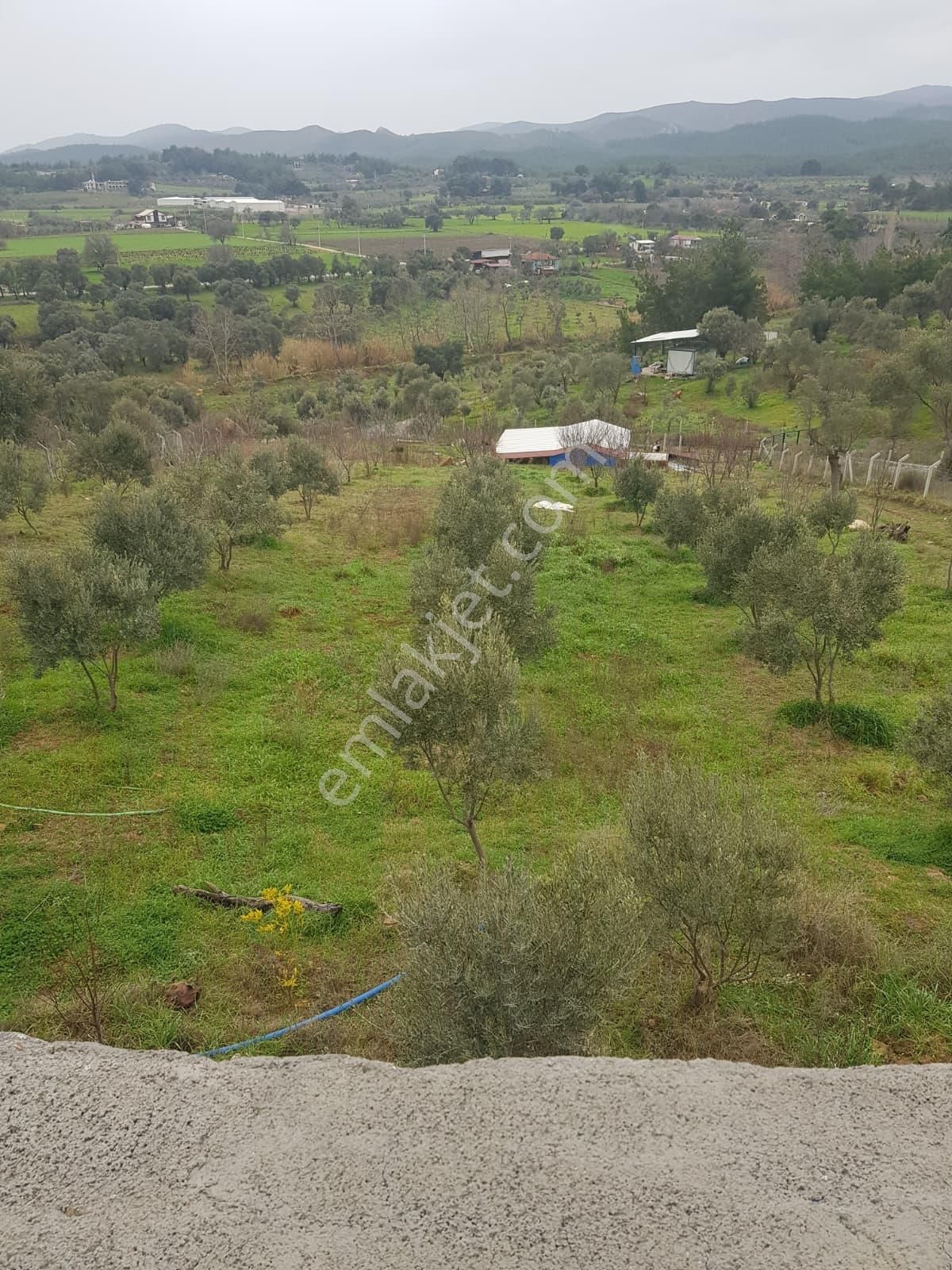 Menderes Turyap'tan Akçaköy'de 7250 M²hisse Tapulu Taşevli Tarla - Görsel 35