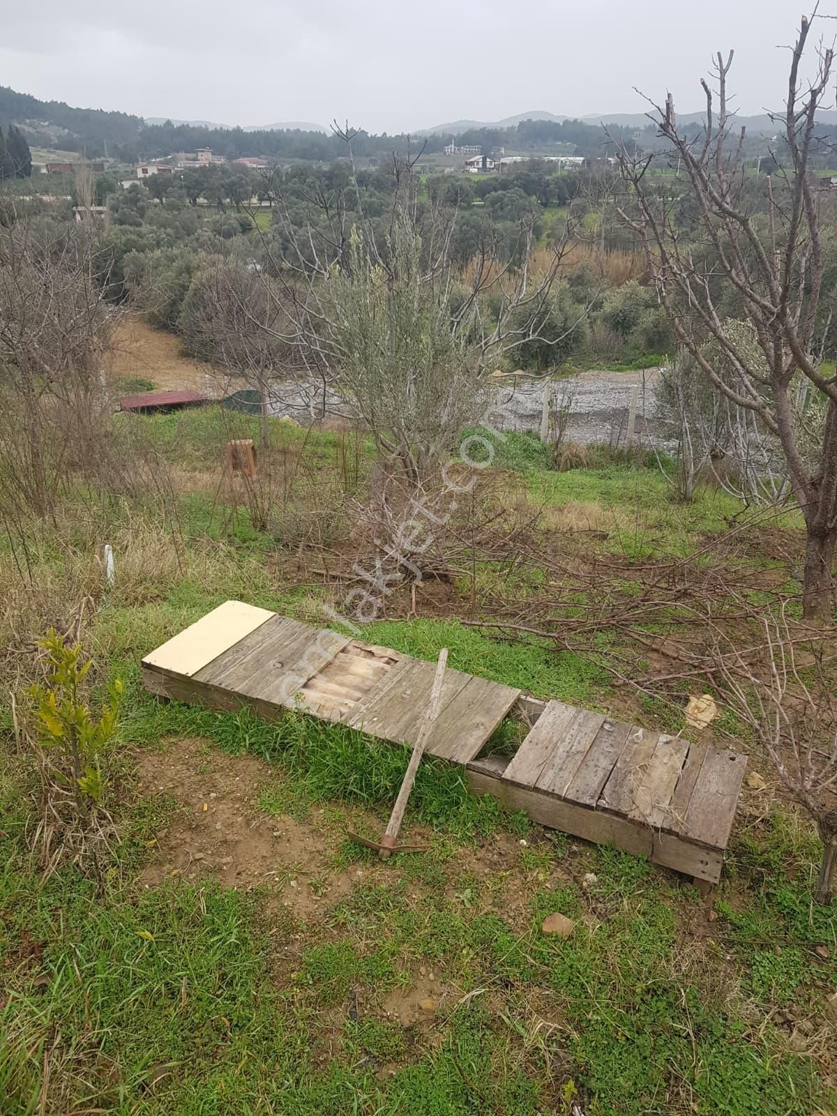 Menderes Turyap'tan Akçaköy'de 7250 M²hisse Tapulu Taşevli Tarla - Görsel 5