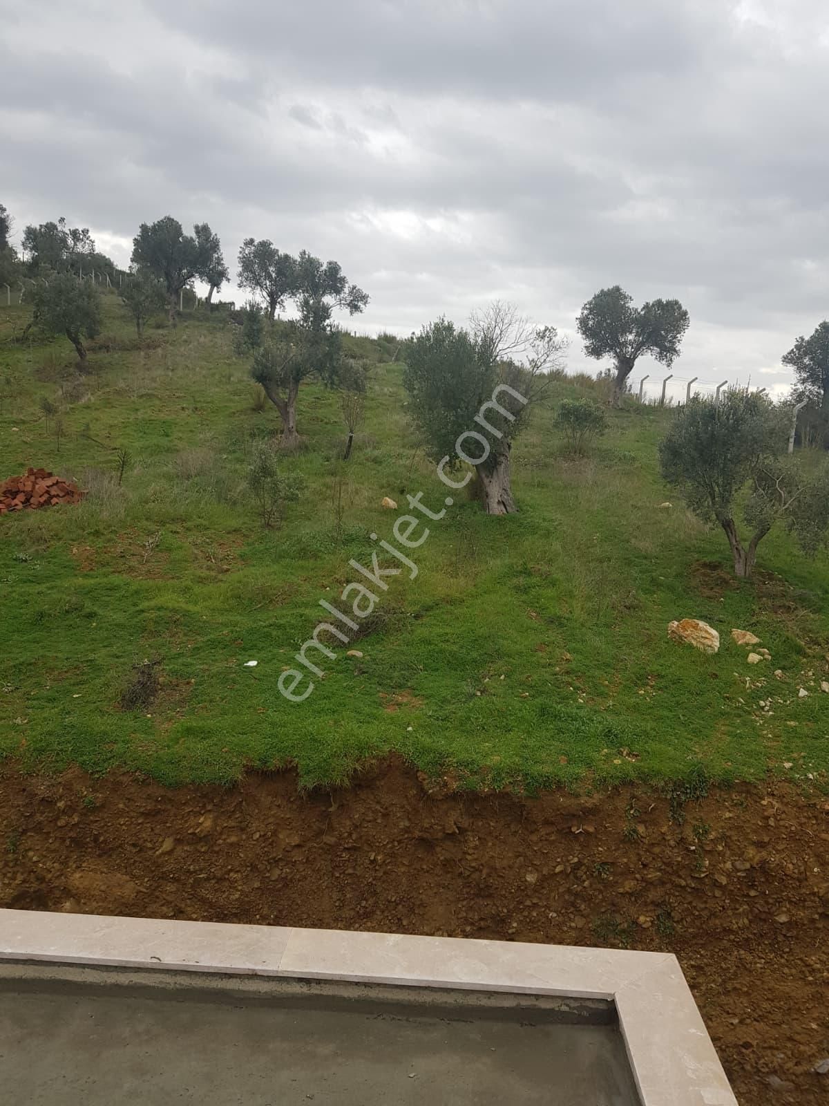 Menderes Turyap'tan Akçaköy'de 7250 M²hisse Tapulu Taşevli Tarla - Görsel 33