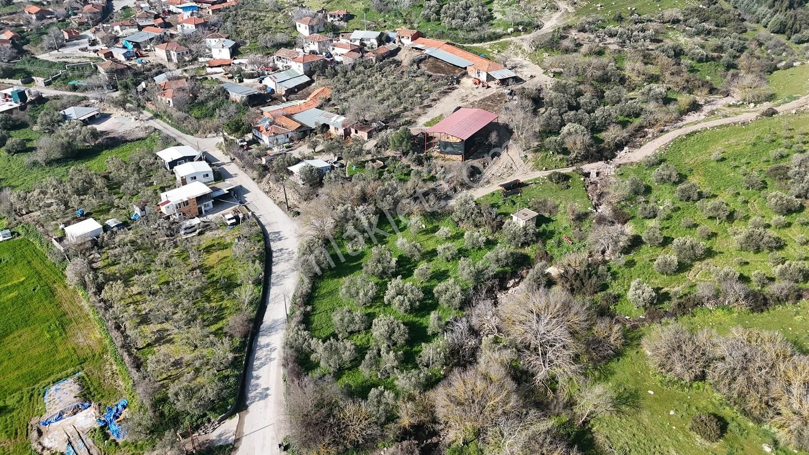 Bergama Kaşıkçı Mahallesinde Satılık Zeytinlik - Görsel 31