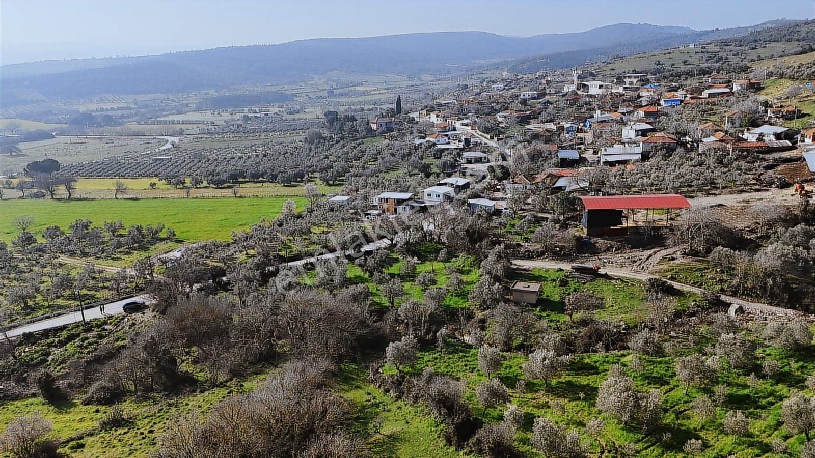Bergama Kaşıkçı Mahallesinde Satılık Zeytinlik - Görsel 29