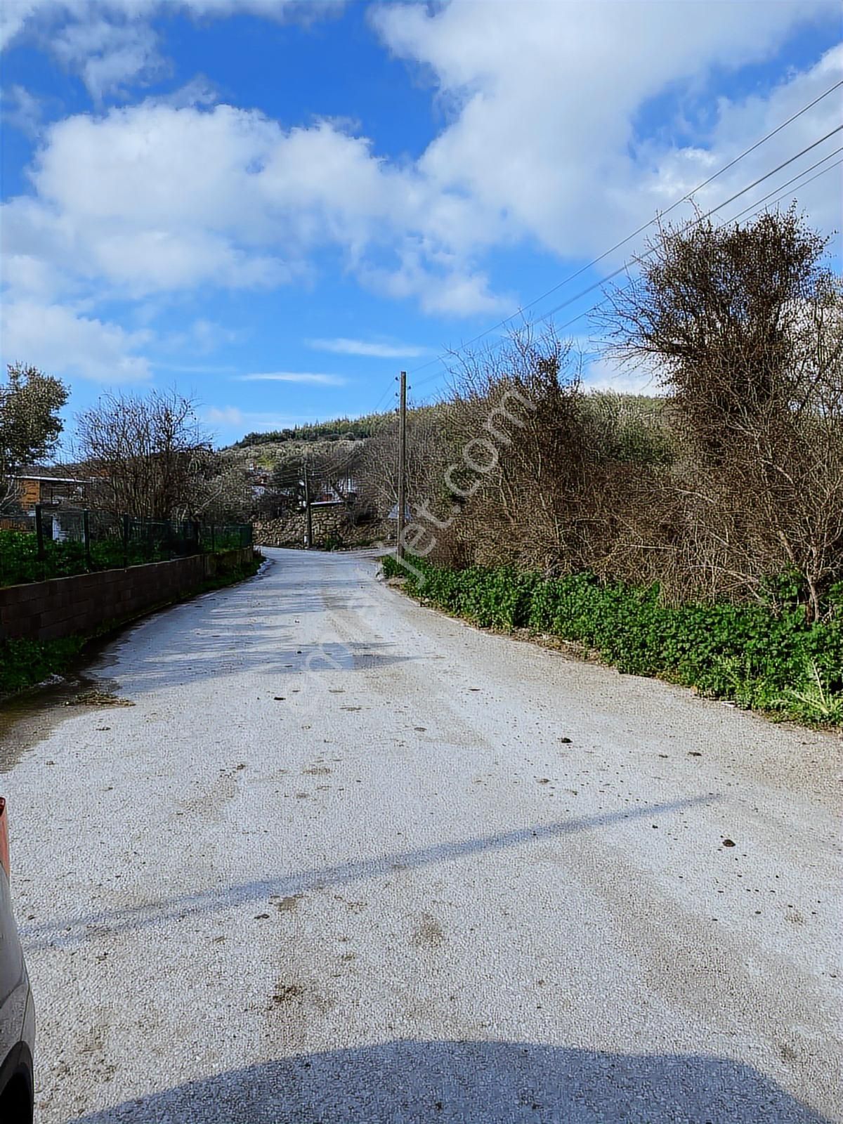 Bergama Kaşıkçı Mahallesinde Satılık Zeytinlik - Görsel 28
