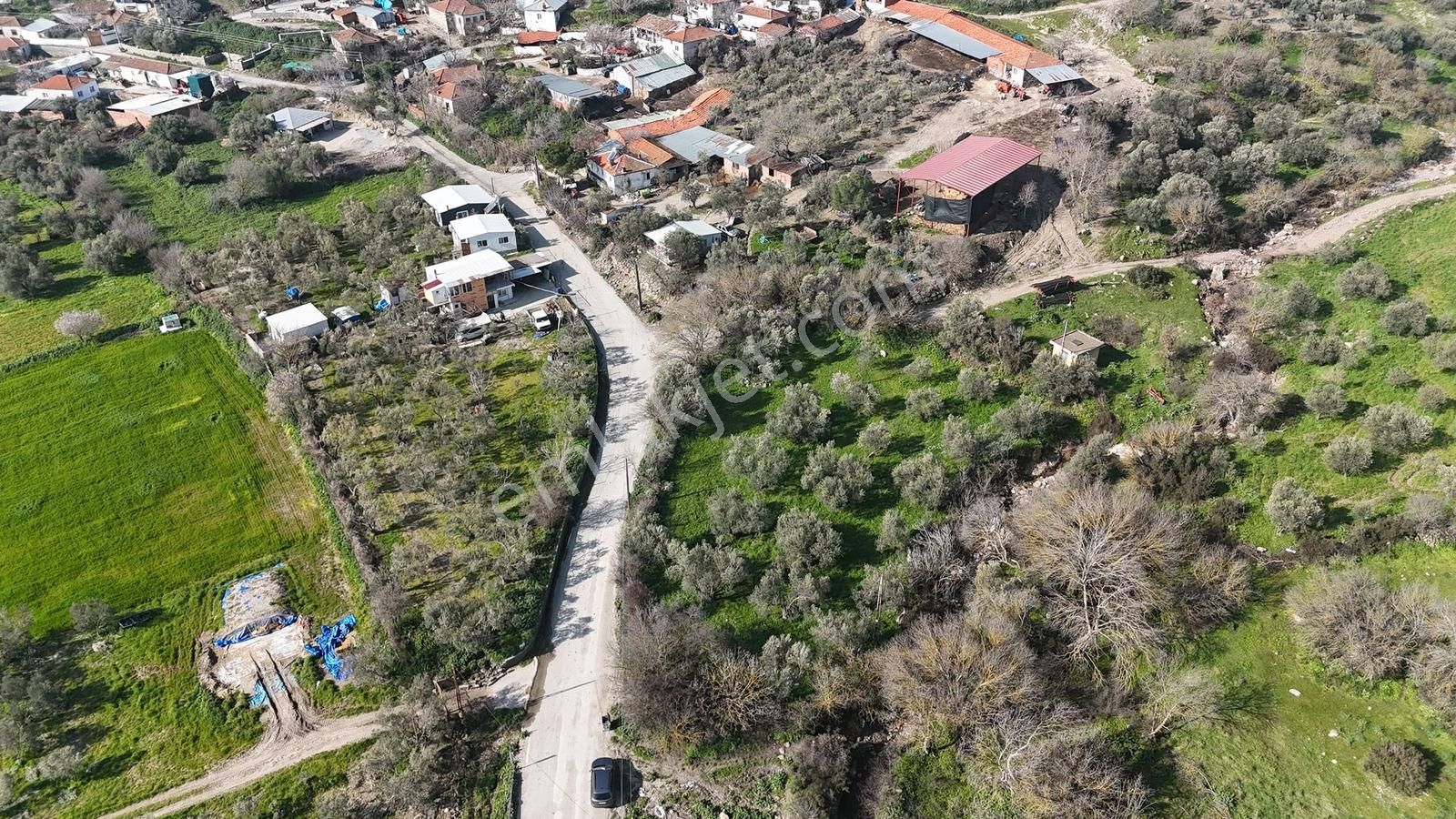 Bergama Kaşıkçı Mahallesinde Satılık Zeytinlik - Görsel 35