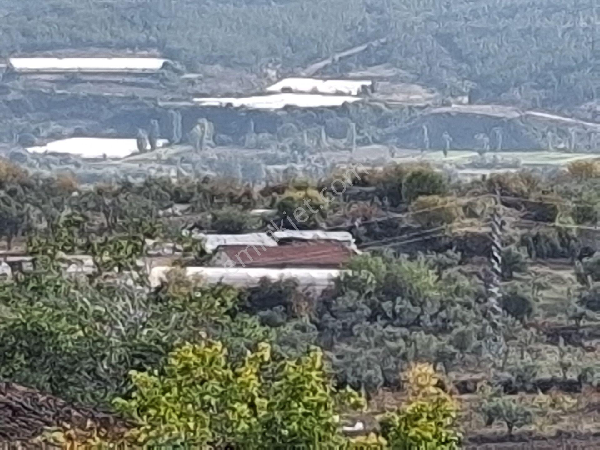 Muhteşem Manzaralı Köy Evi - Görsel 20