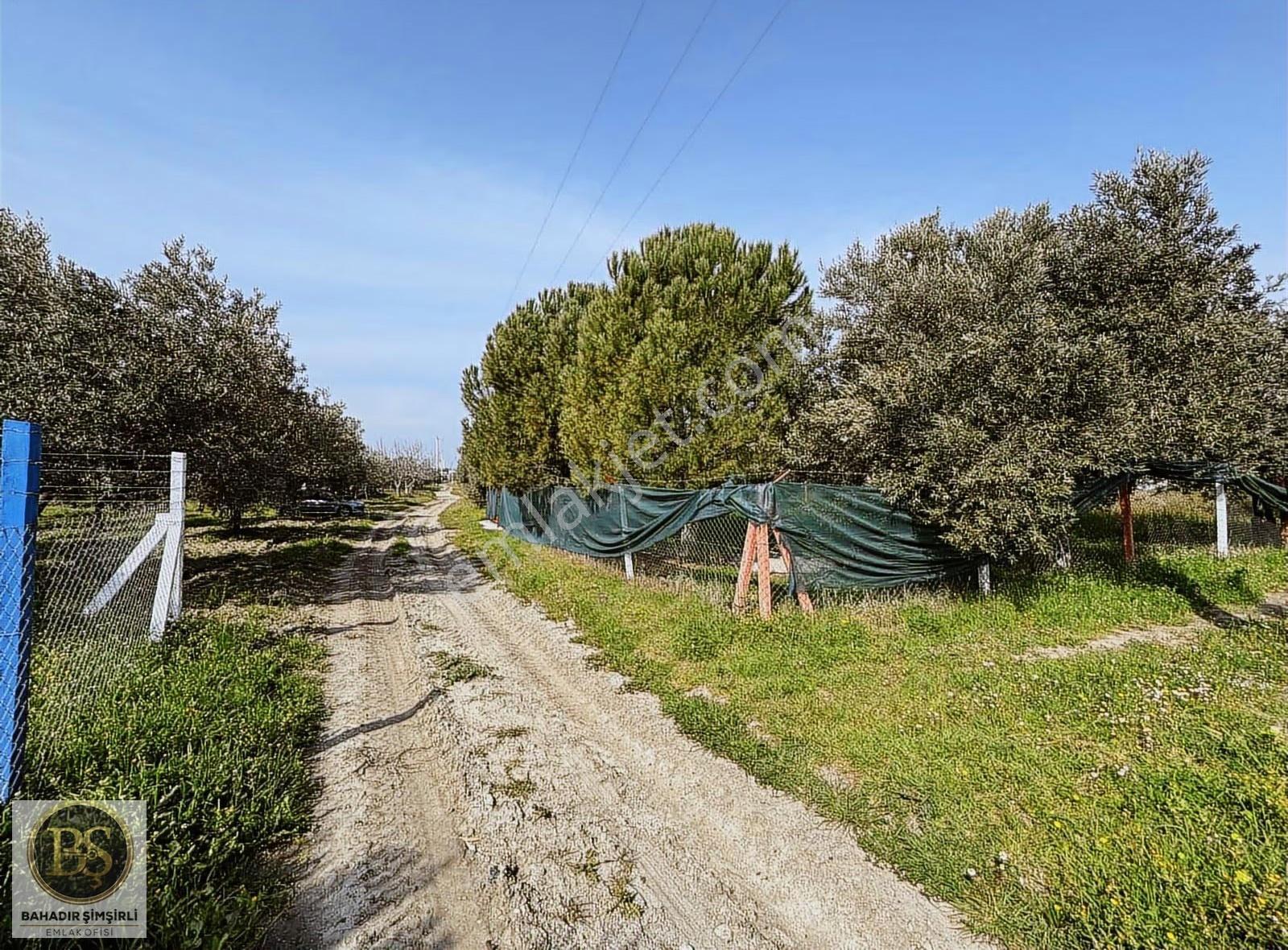 B.ş.den Bünyaniosmaniye'de Satılık 1.300 M2 Hobi Bahçesi - Görsel 23