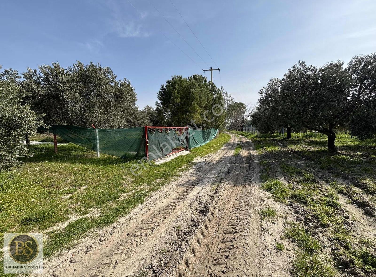 B.ş.den Bünyaniosmaniye'de Satılık 1.300 M2 Hobi Bahçesi - Görsel 7