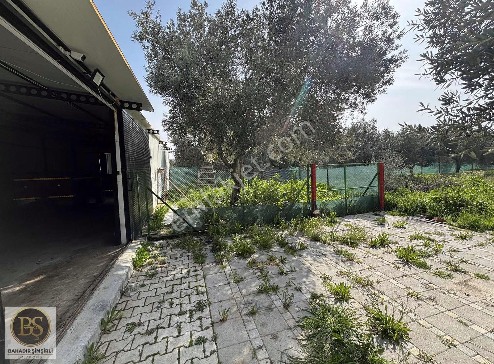 B.ş.den Bünyaniosmaniye'de Satılık 1.300 M2 Hobi Bahçesi - Görsel 4