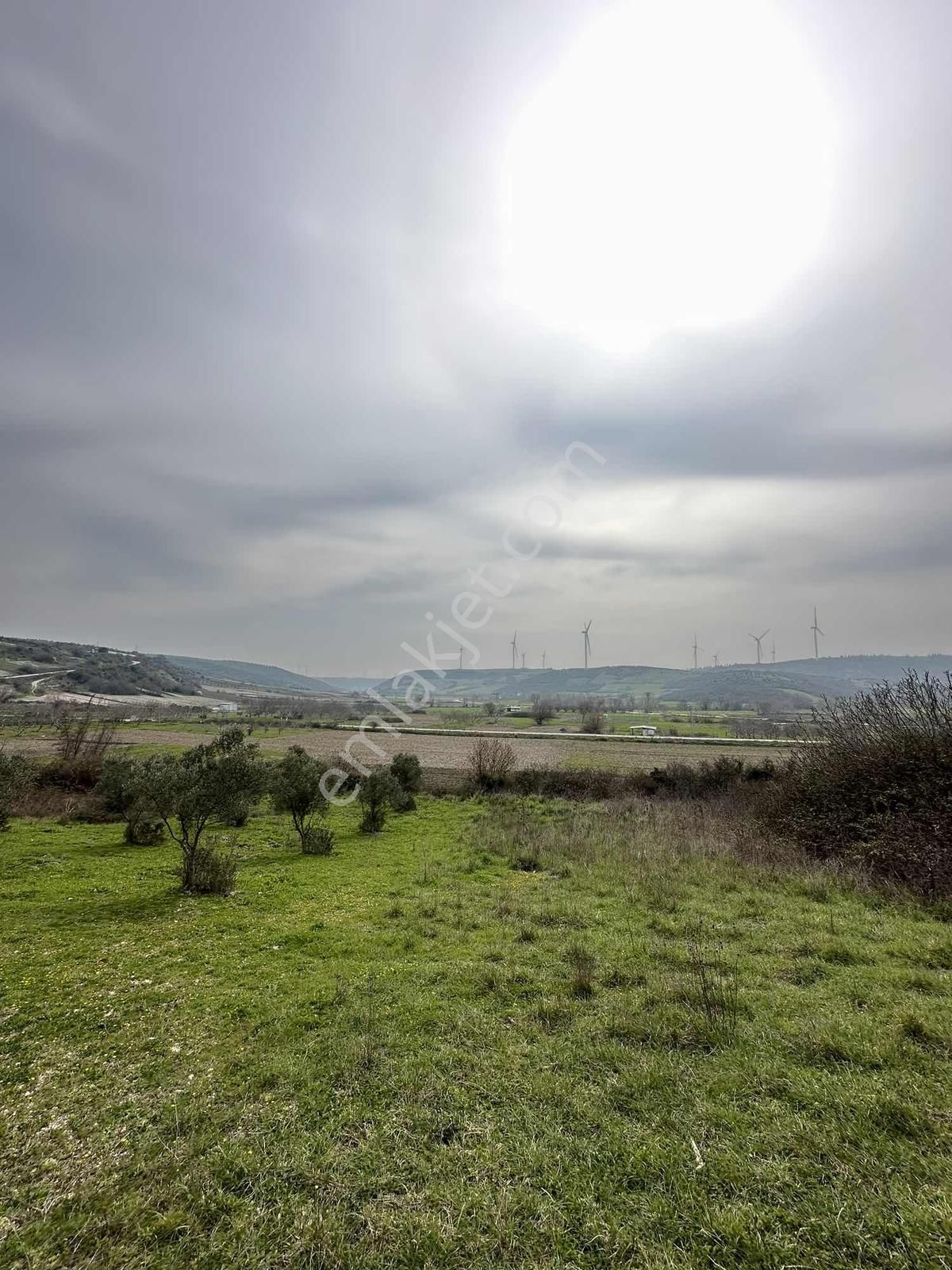 Karacabey Çamlıca Mahallesinde Asfalta Yakın Hobi Bahçelik Arazi