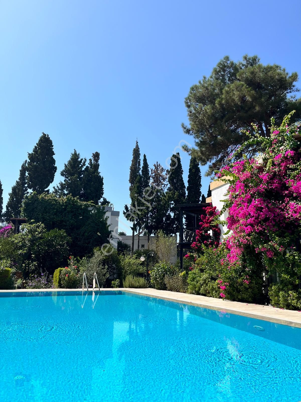 Gümüşlük Köy Merkezinde Geniş Bahçeli Müstakil Villa - Görsel 4