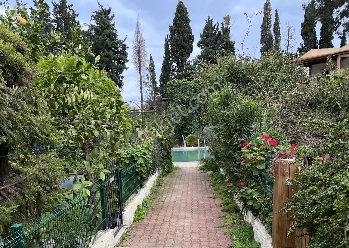 Gümüşlük Köy Merkezinde Geniş Bahçeli Müstakil Villa - Görsel 2