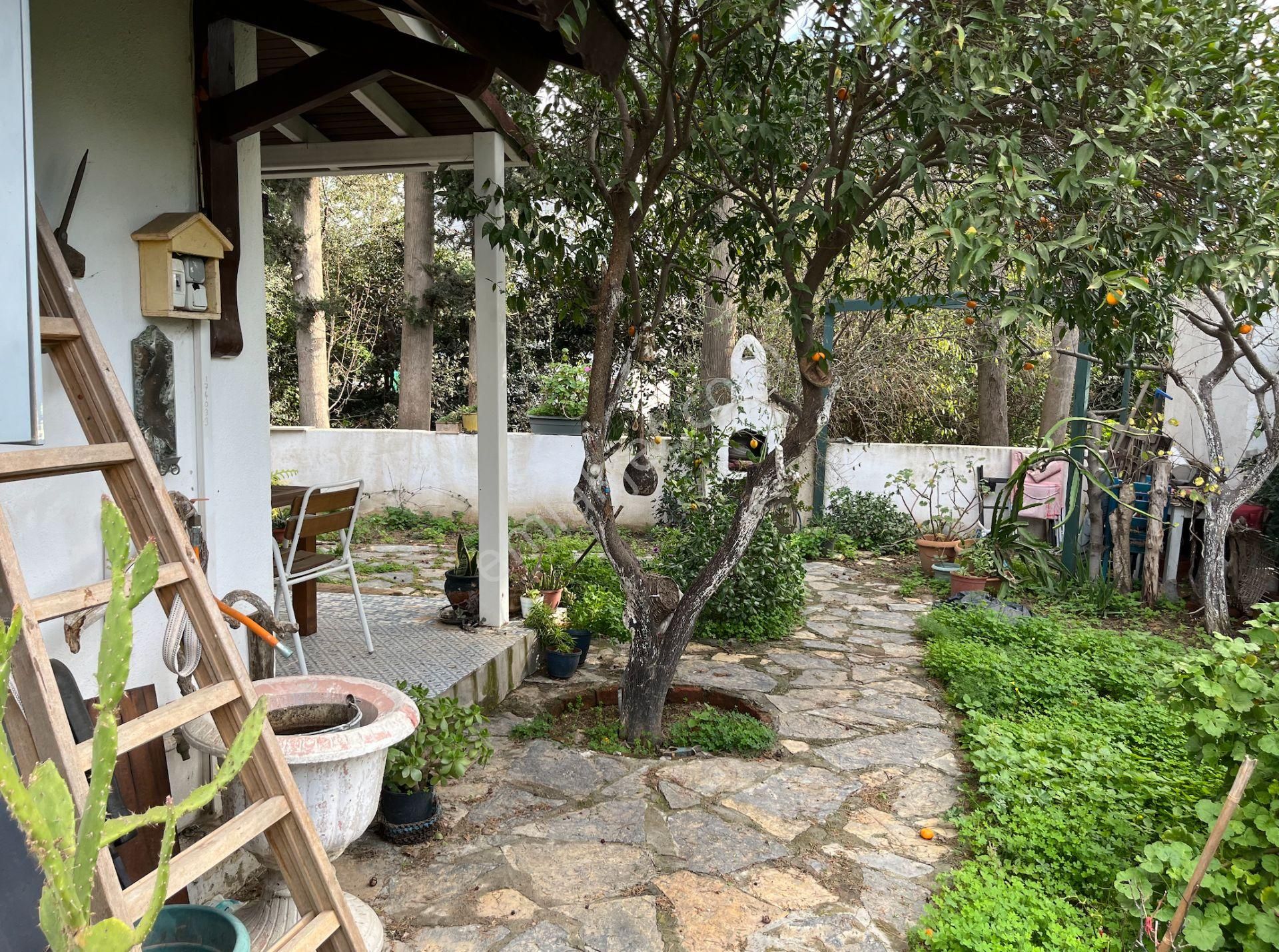 Gümüşlük Köy Merkezinde Geniş Bahçeli Müstakil Villa - Görsel 18