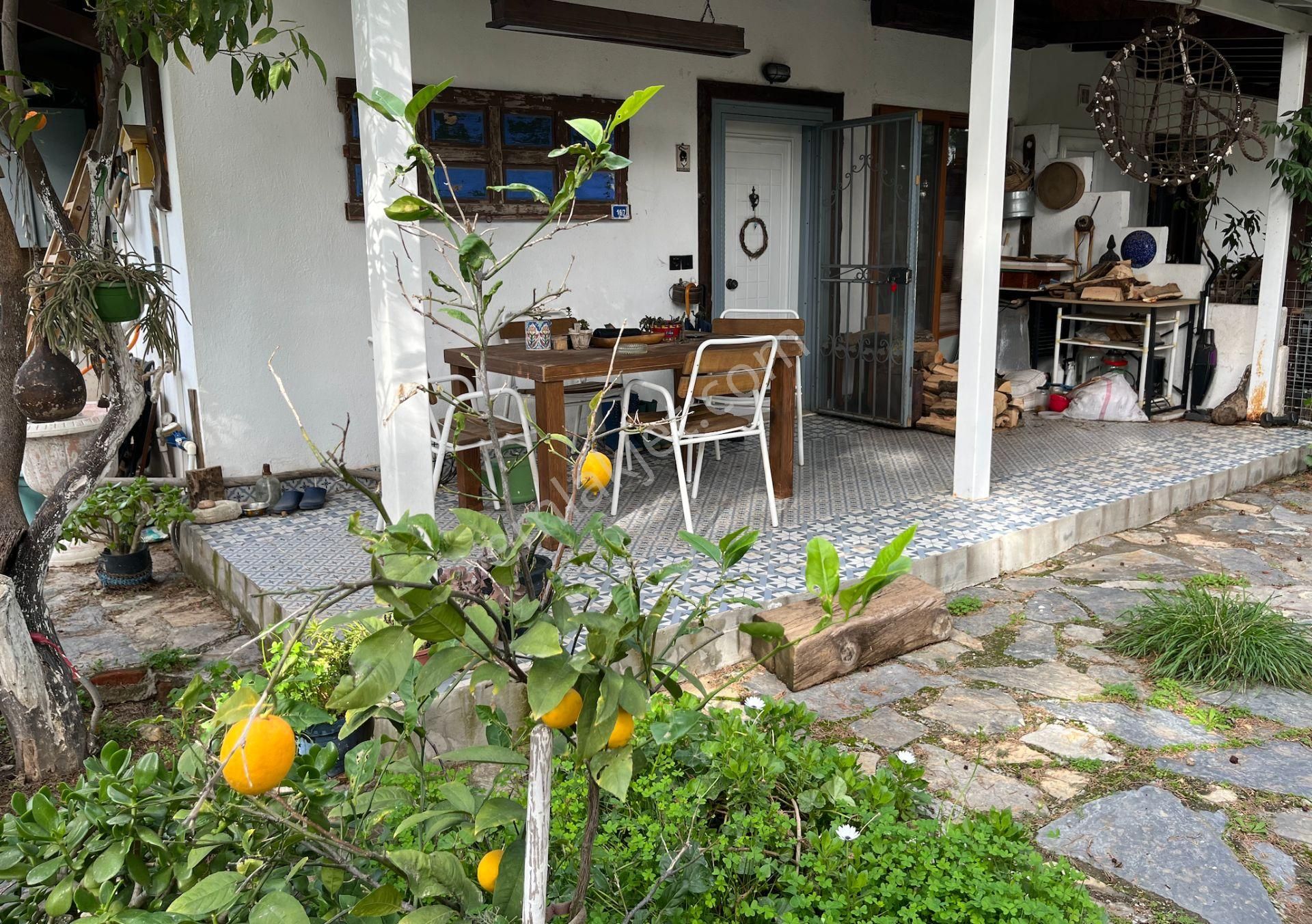 Gümüşlük Köy Merkezinde Geniş Bahçeli Müstakil Villa - Görsel 16