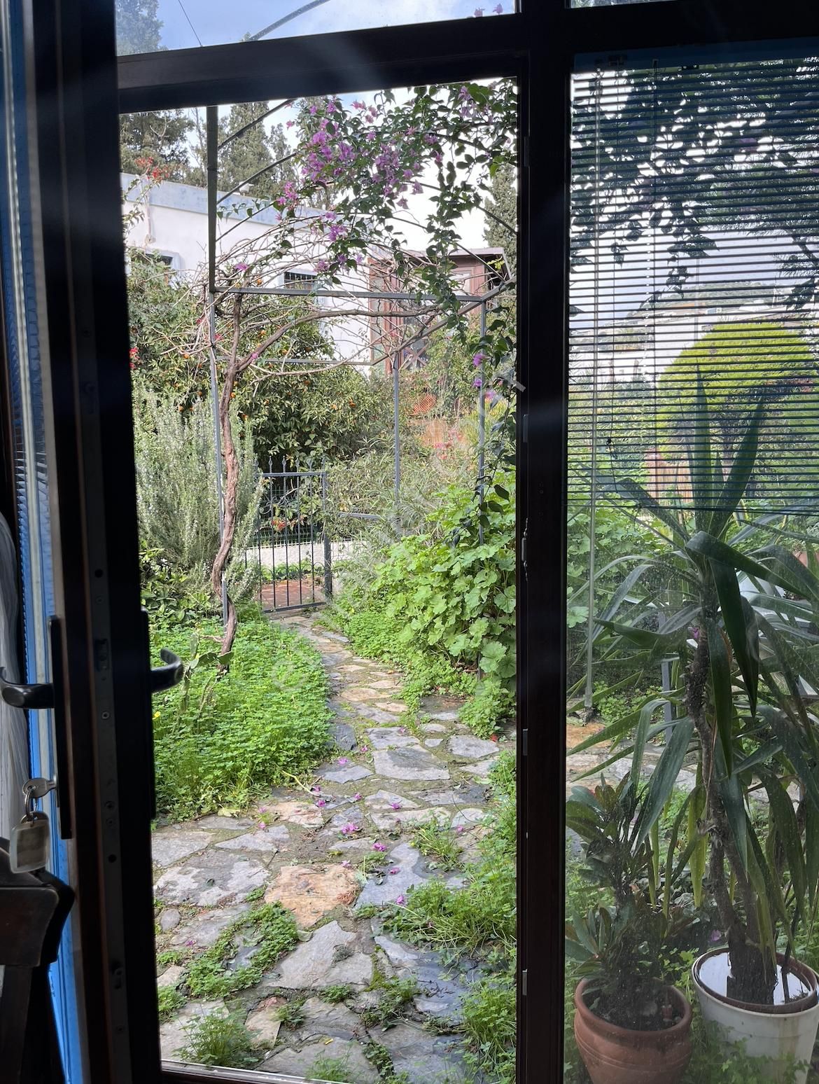 Gümüşlük Köy Merkezinde Geniş Bahçeli Müstakil Villa - Görsel 7