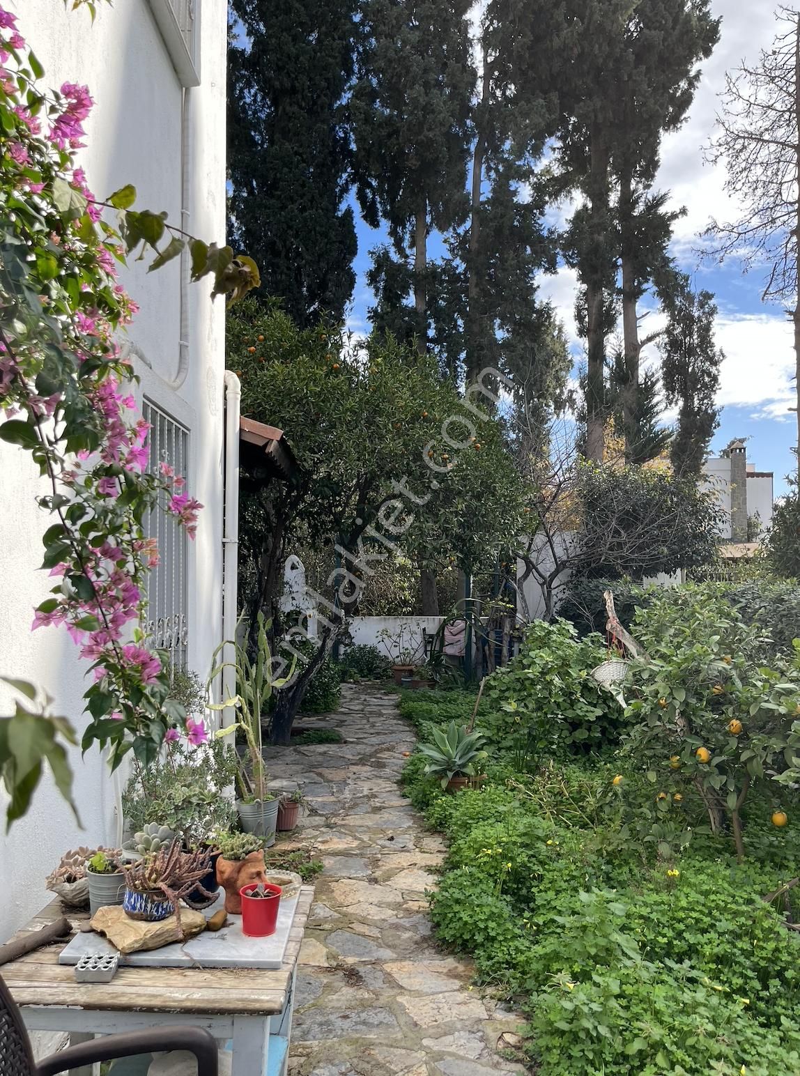 Gümüşlük Köy Merkezinde Geniş Bahçeli Müstakil Villa - Görsel 17