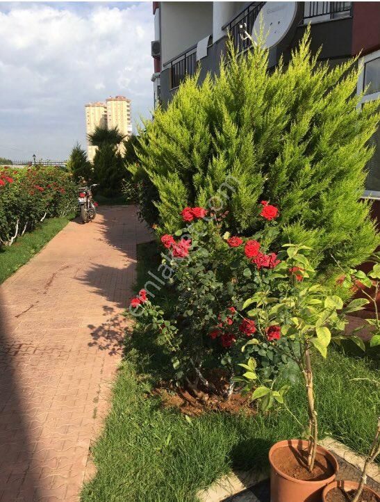 Antalya Altıntaş’da Deniz Ve Doğa Manzaralı Ferah 3+1 - Görsel 22