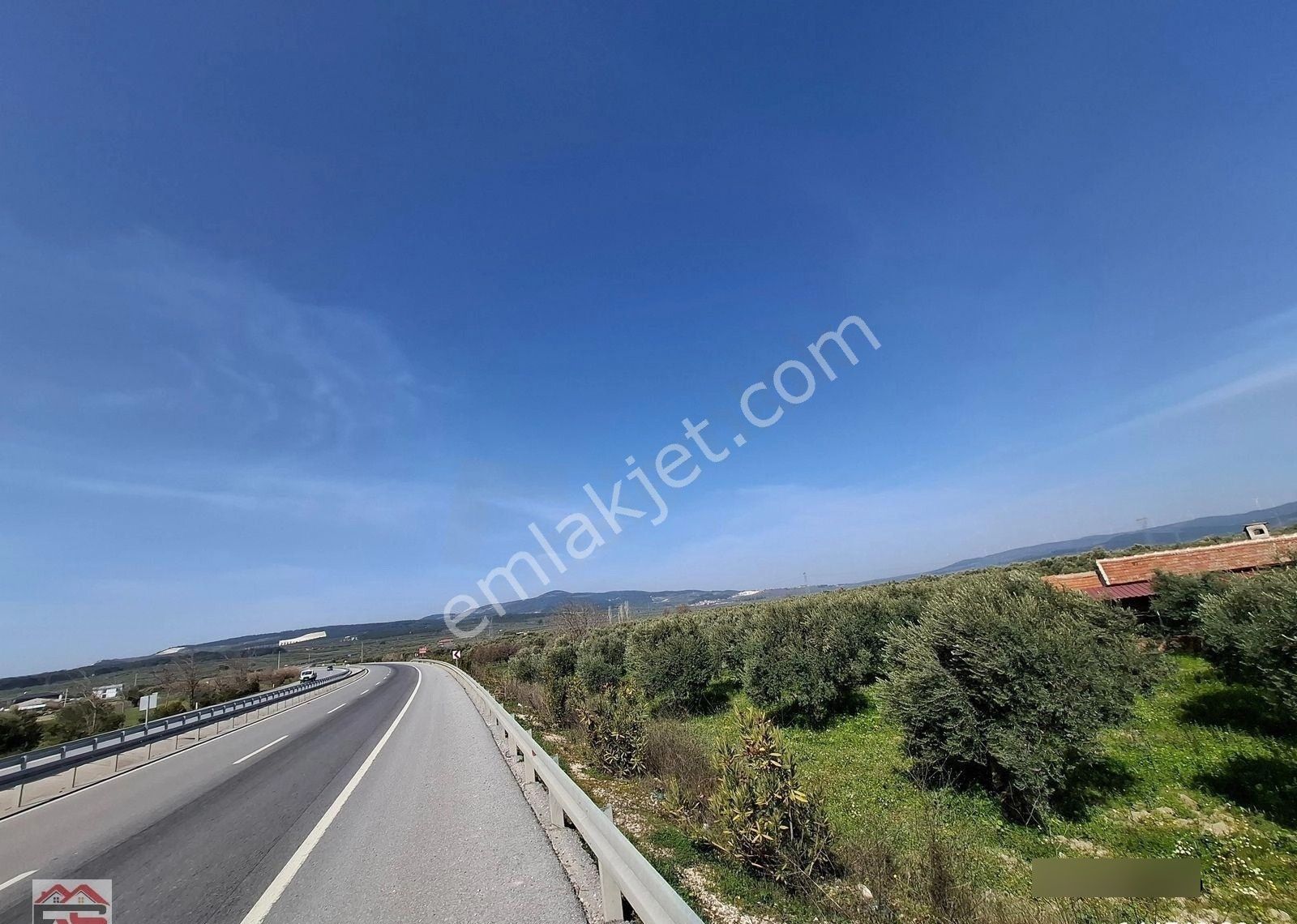 Akhisar Süleymanlı Fahri Sertel Emlaktan Satılık Zeytinlik