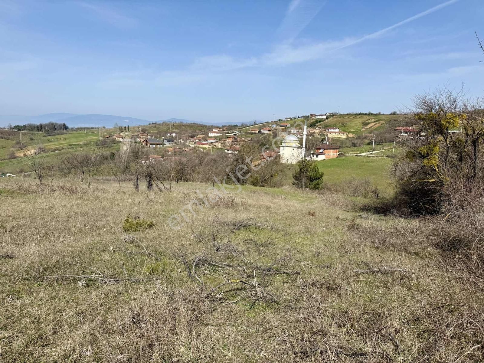 İznik Çampınar'da Gölü Gören, Yerleşime Yakın 7802 M2 Tarla - Görsel 4