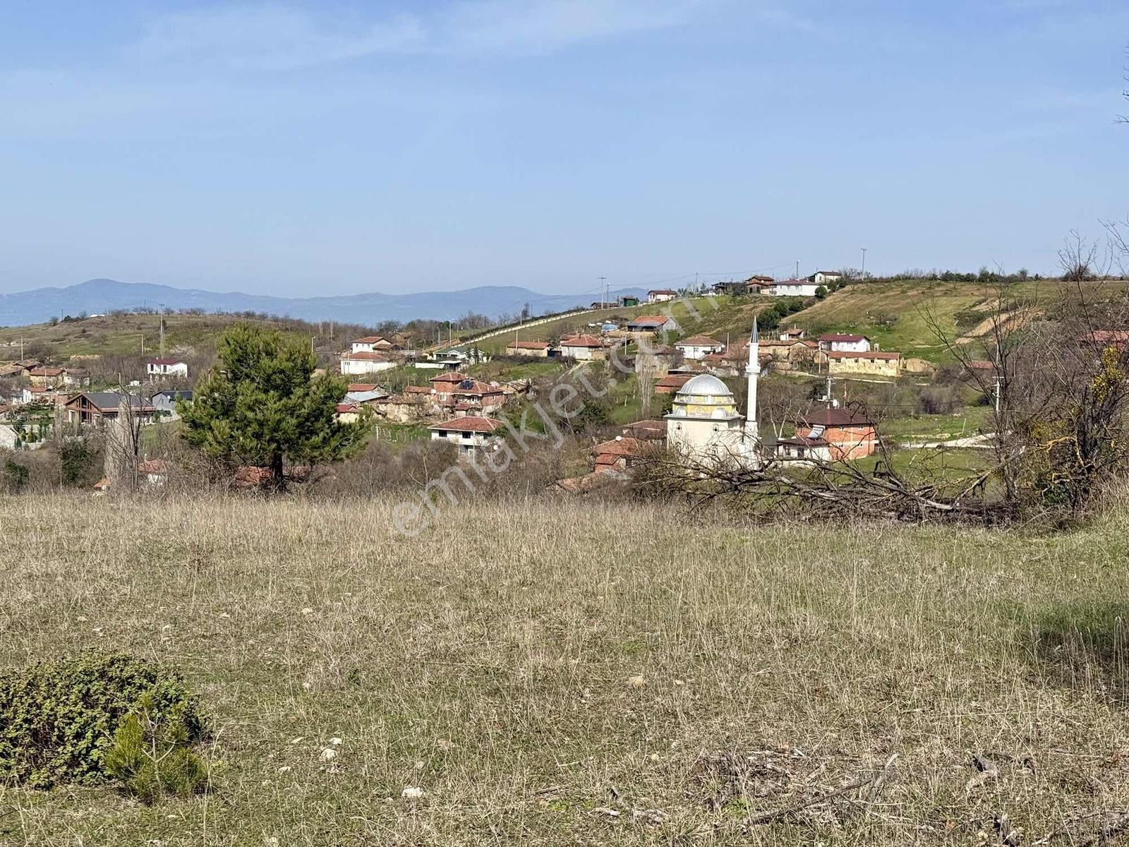 İznik Çampınar'da Gölü Gören, Yerleşime Yakın 7802 M2 Tarla