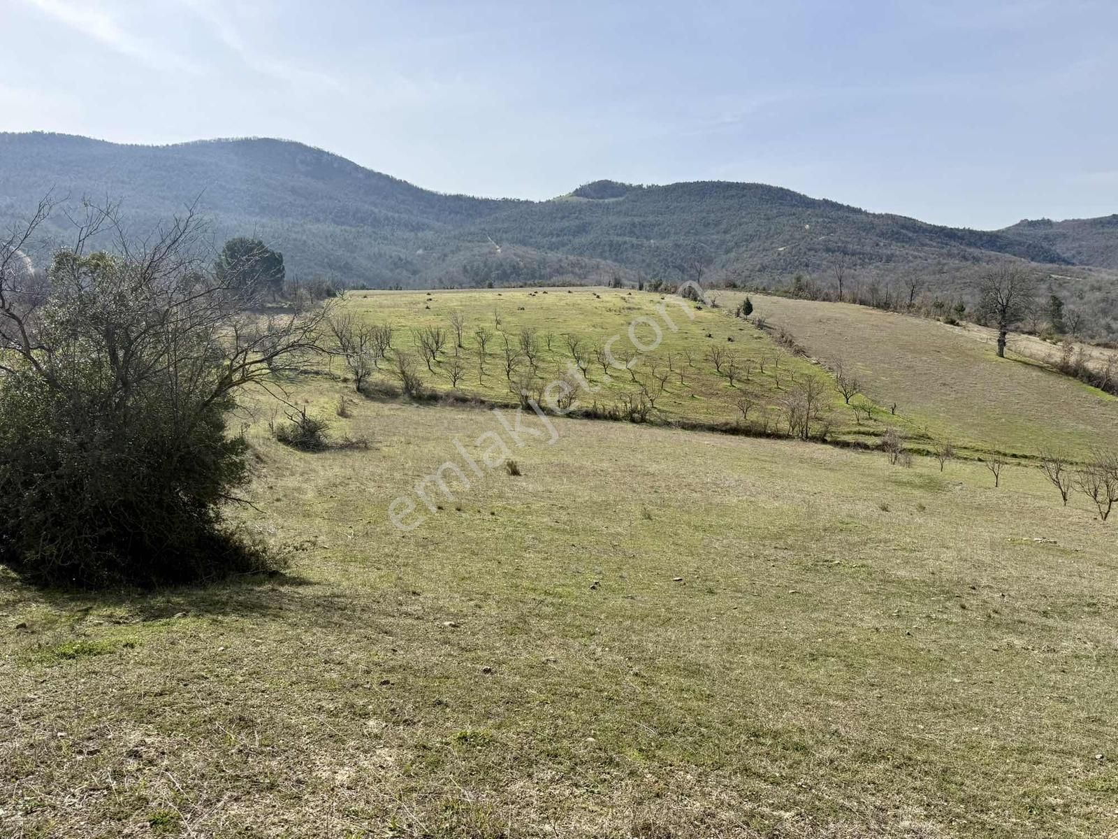 İznik Çampınar'da Gölü Gören, Yerleşime Yakın 7802 M2 Tarla - Görsel 18