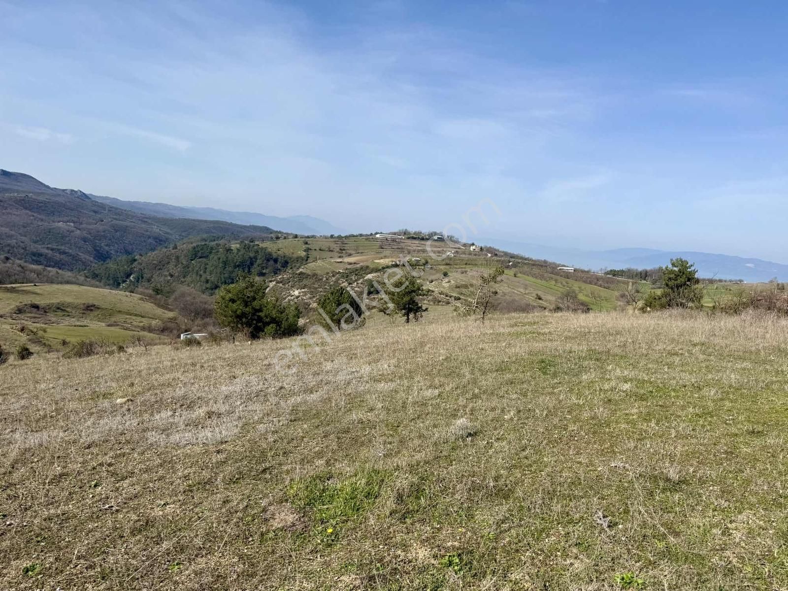 İznik Çampınar'da Gölü Gören, Yerleşime Yakın 7802 M2 Tarla - Görsel 5