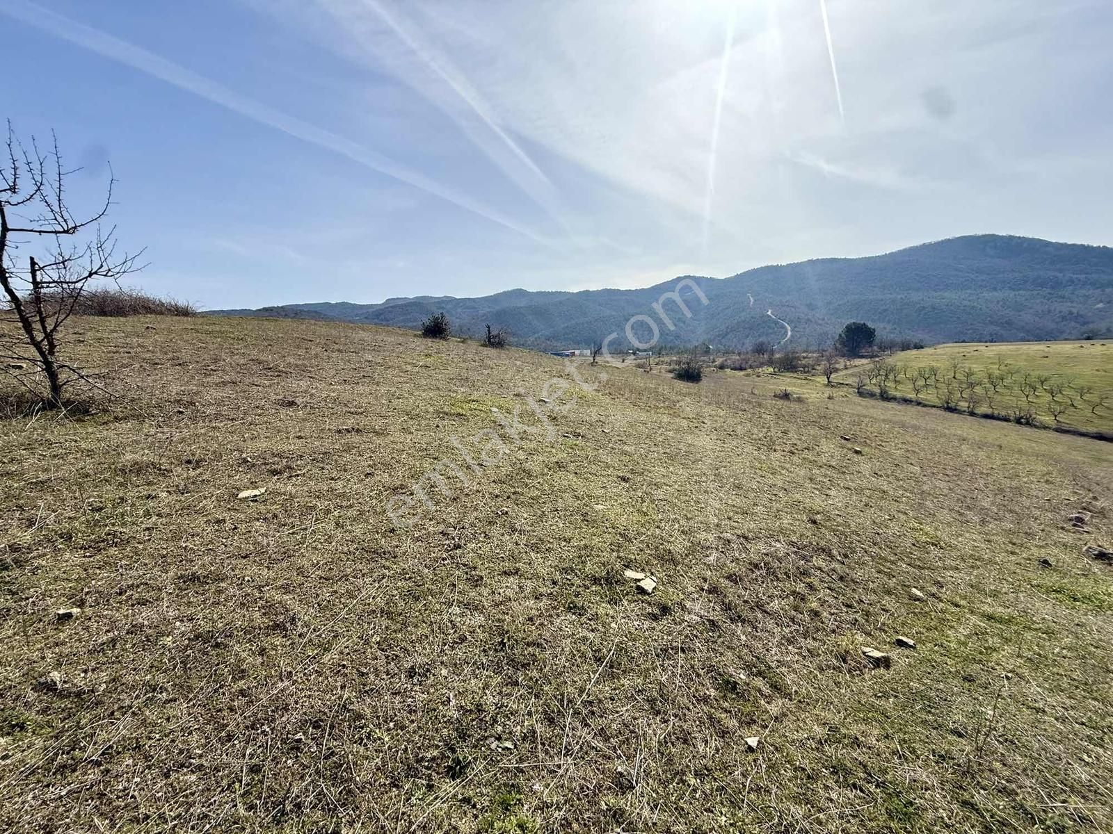 İznik Çampınar'da Gölü Gören, Yerleşime Yakın 7802 M2 Tarla - Görsel 20