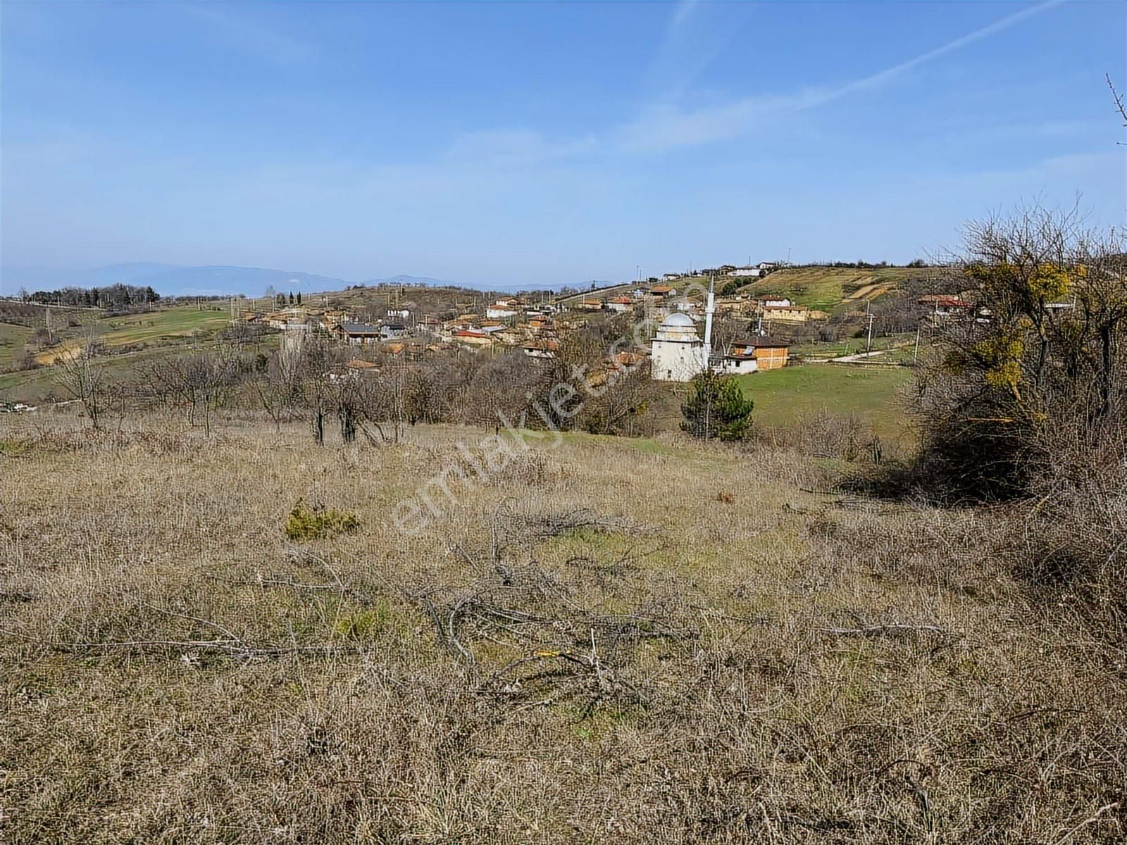 İznik Çampınar Mahallesinde Yerleşime Yakın 7802 M2 Tarla