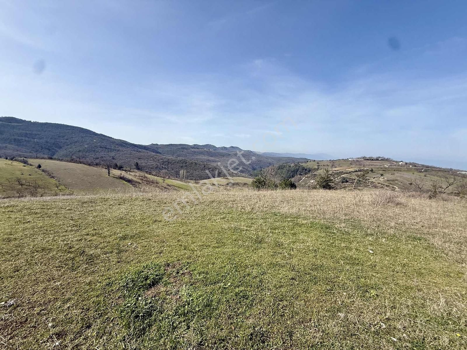 İznik Çampınar'da Gölü Gören, Yerleşime Yakın 7802 M2 Tarla - Görsel 12