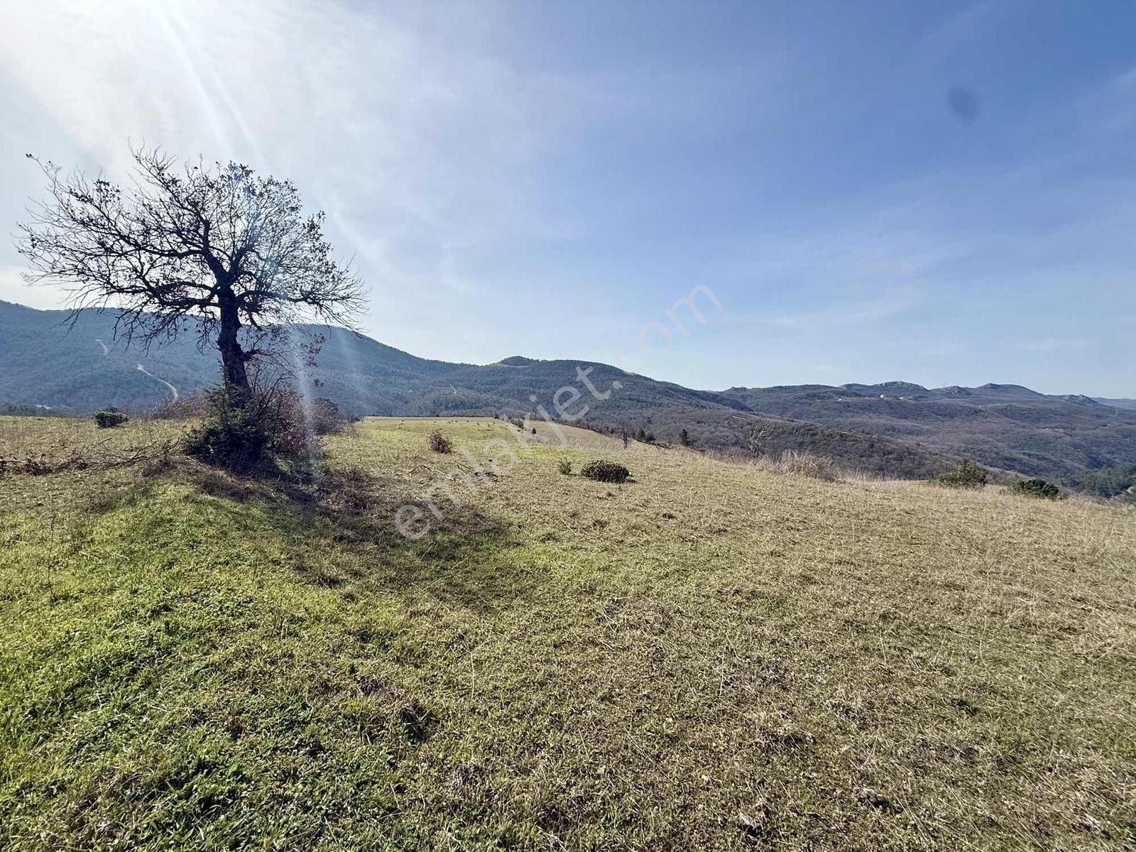 İznik Çampınar'da Gölü Gören, Yerleşime Yakın 7802 M2 Tarla - Görsel 22