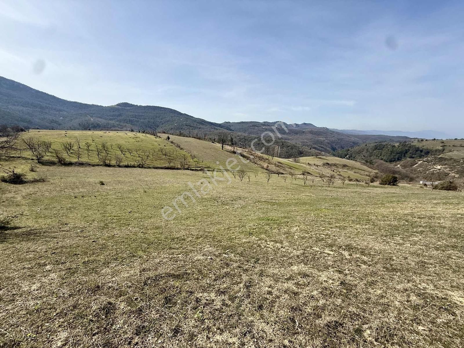 İznik Çampınar'da Gölü Gören, Yerleşime Yakın 7802 M2 Tarla - Görsel 13