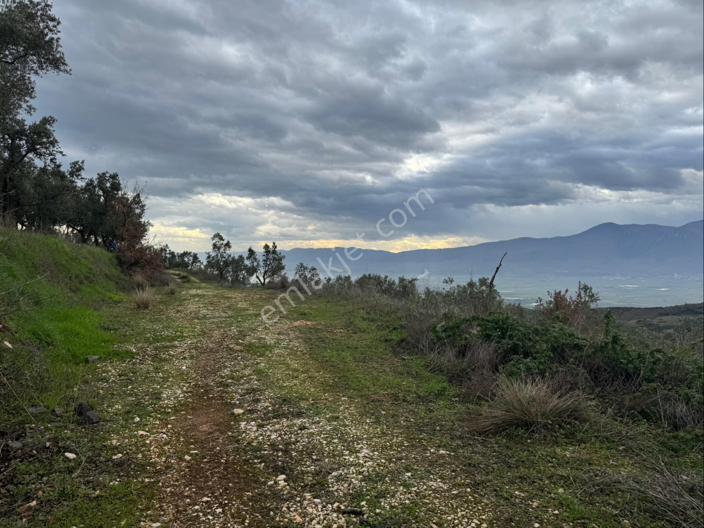 Beka Gayrimenkul'den Fındıklı'da 1691 M2 Göl Manzaralı Tarla - Görsel 18