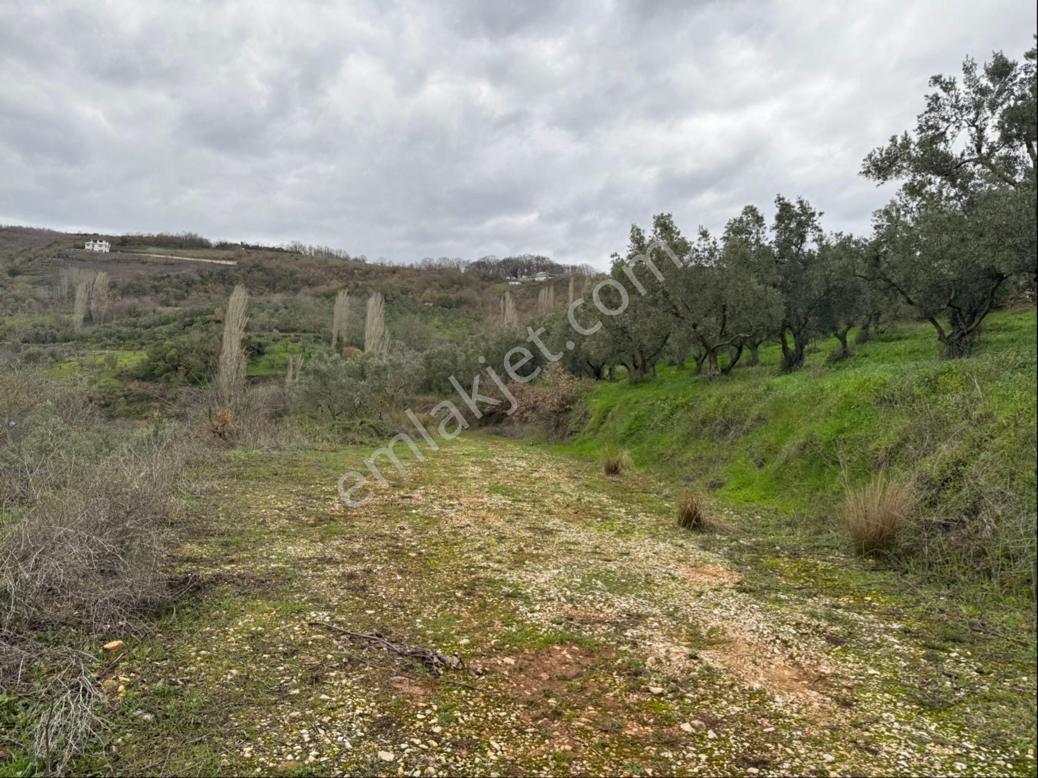Beka Gayrimenkul'den Fındıklı'da 1691 M2 Göl Manzaralı Tarla - Görsel 4