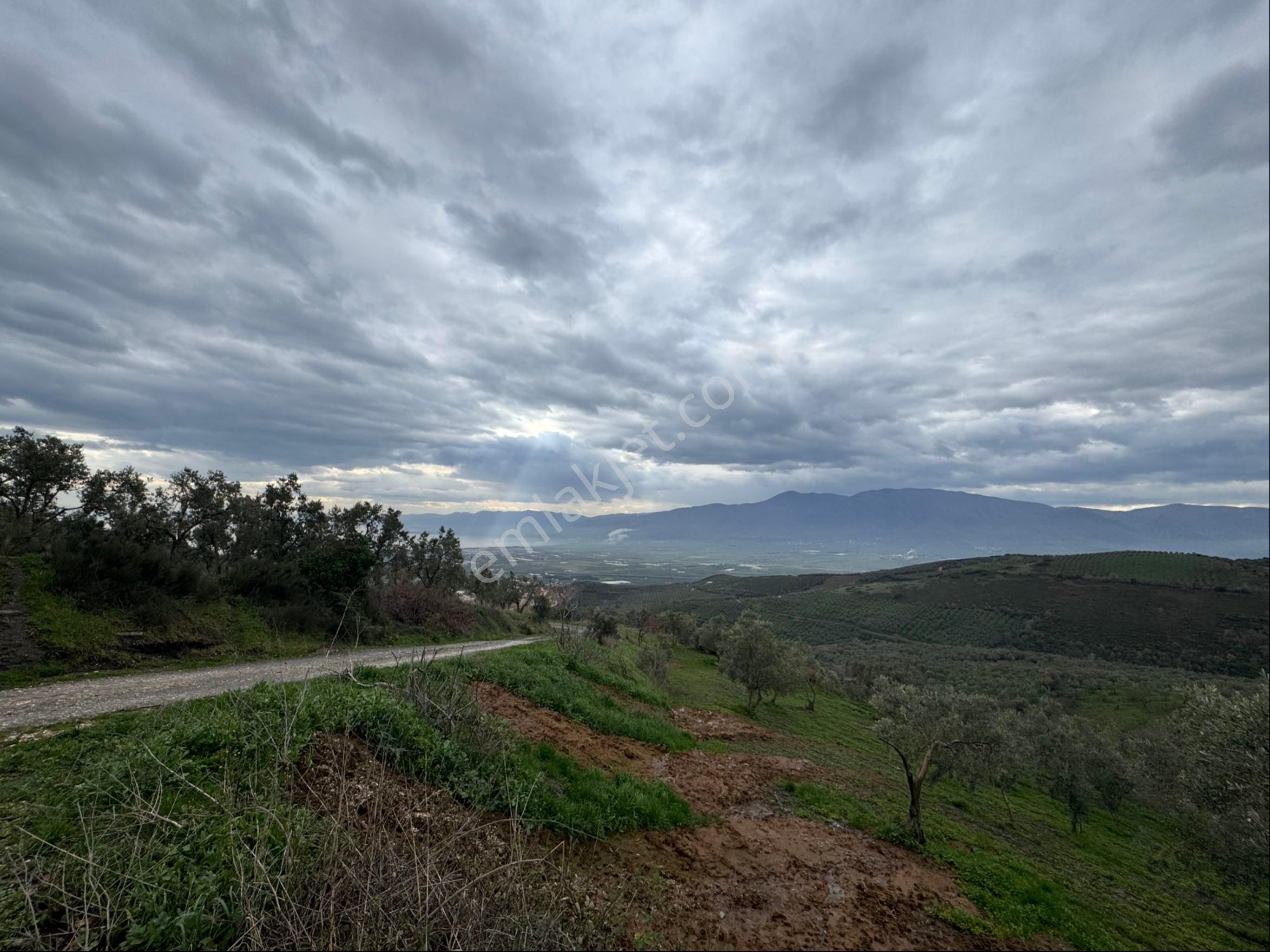 Beka Gayrimenkul'den Fındıklı'da 1691 M2 Göl Manzaralı Tarla - Görsel 9