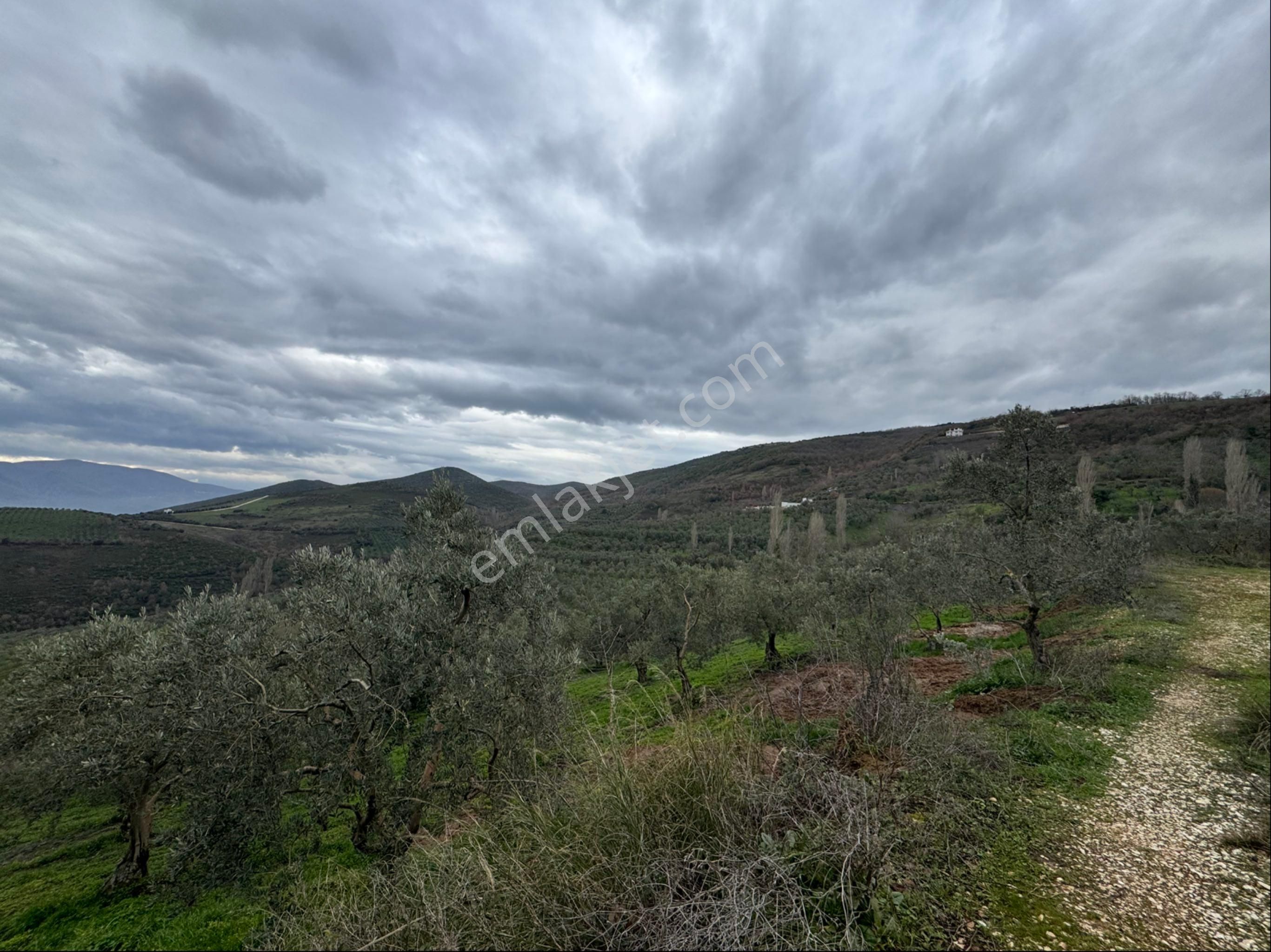 Beka Gayrimenkul'den Fındıklı'da 1691 M2 Göl Manzaralı Tarla - Görsel 8