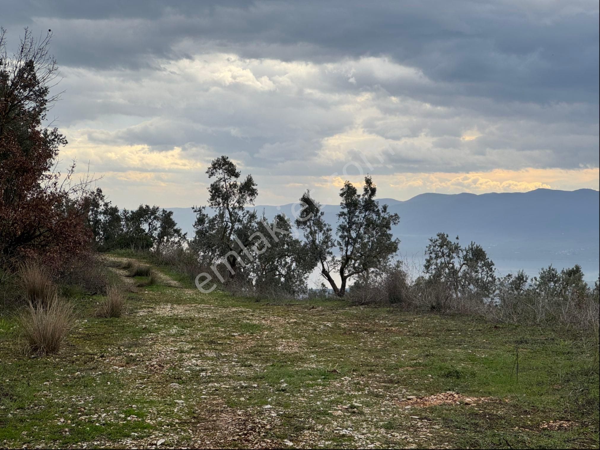 Beka Gayrimenkul'den Fındıklı'da 1691 M2 Göl Manzaralı Tarla - Görsel 21